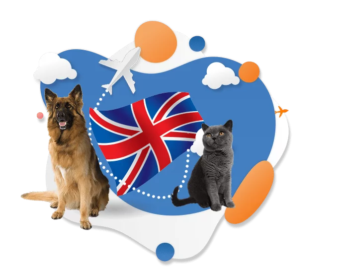 Viajar con tu mascota al Reino Unido después del BREXIT